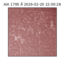 saia - 2026-02-20T22:00:28.717000