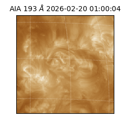 saia - 2026-02-20T01:00:04.843000