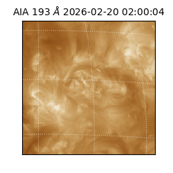 saia - 2026-02-20T02:00:04.843000