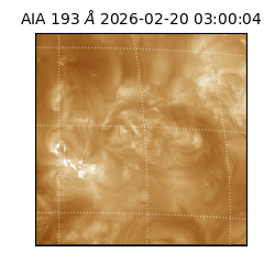 saia - 2026-02-20T03:00:04.843000