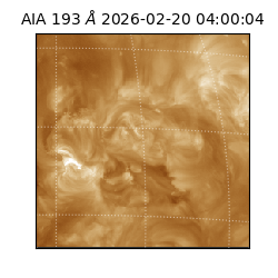 saia - 2026-02-20T04:00:04.835000