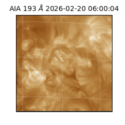 saia - 2026-02-20T06:00:04.843000