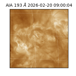 saia - 2026-02-20T09:00:04.844000