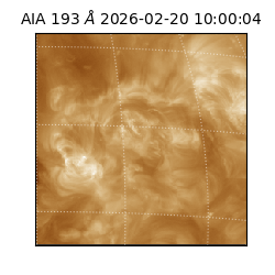 saia - 2026-02-20T10:00:04.843000