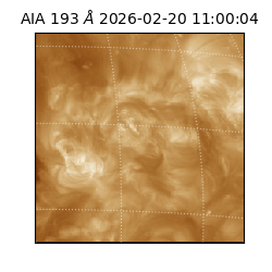 saia - 2026-02-20T11:00:04.843000