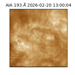 saia - 2026-02-20T13:00:04.846000