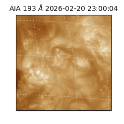 saia - 2026-02-20T23:00:04.835000