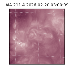 saia - 2026-02-20T03:00:09.630000