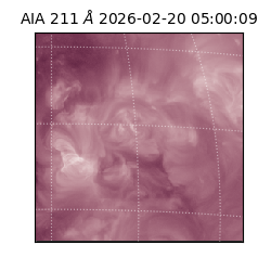 saia - 2026-02-20T05:00:09.633000