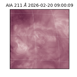 saia - 2026-02-20T09:00:09.632000