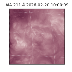 saia - 2026-02-20T10:00:09.626000