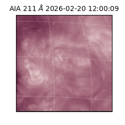 saia - 2026-02-20T12:00:09.619000