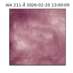 saia - 2026-02-20T13:00:09.626000