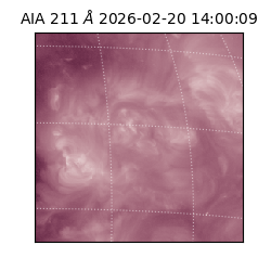 saia - 2026-02-20T14:00:09.627000