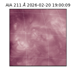 saia - 2026-02-20T19:00:09.626000