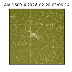 saia - 2026-02-20T03:00:14.125000