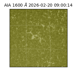 saia - 2026-02-20T09:00:14.126000