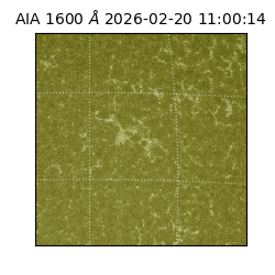 saia - 2026-02-20T11:00:14.126000