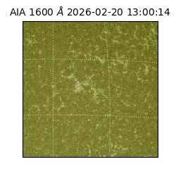 saia - 2026-02-20T13:00:14.125000