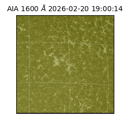 saia - 2026-02-20T19:00:14.126000