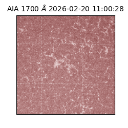 saia - 2026-02-20T11:00:28.717000