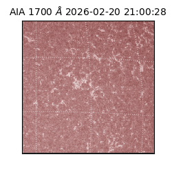 saia - 2026-02-20T21:00:28.717000