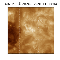 saia - 2026-02-20T11:00:04.843000