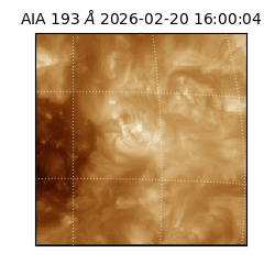 saia - 2026-02-20T16:00:04.835000