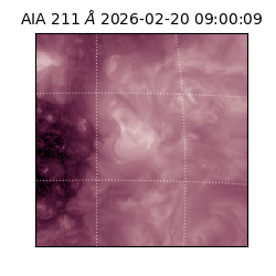 saia - 2026-02-20T09:00:09.632000