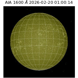 saia - 2026-02-20T01:00:14.132000