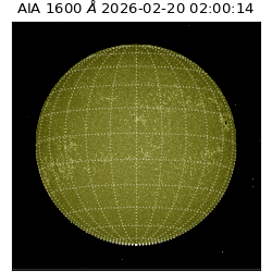 saia - 2026-02-20T02:00:14.125000
