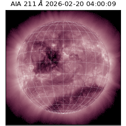 saia - 2026-02-20T04:00:09.619000