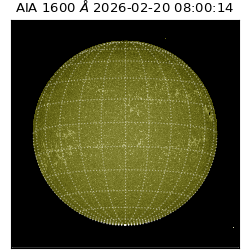 saia - 2026-02-20T08:00:14.121000