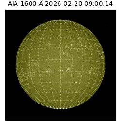 saia - 2026-02-20T09:00:14.126000
