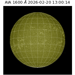 saia - 2026-02-20T13:00:14.125000