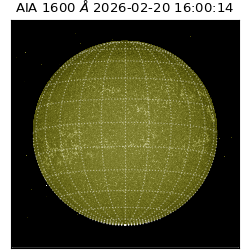 saia - 2026-02-20T16:00:14.126000