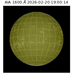 saia - 2026-02-20T19:00:14.126000