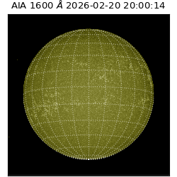 saia - 2026-02-20T20:00:14.125000