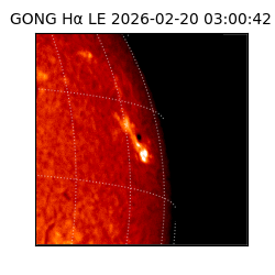 gong - 2026-02-20T03:00:42