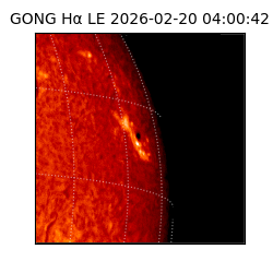 gong - 2026-02-20T04:00:42