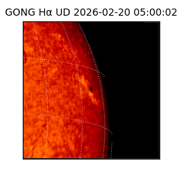 gong - 2026-02-20T05:00:02