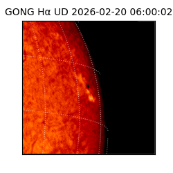 gong - 2026-02-20T06:00:02