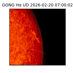 gong - 2026-02-20T07:00:02
