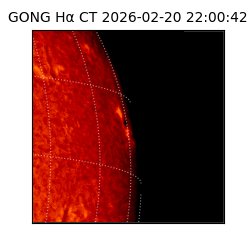 gong - 2026-02-20T22:00:42