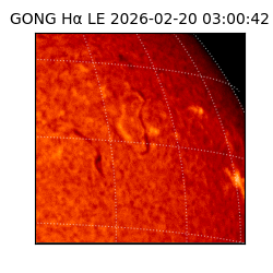gong - 2026-02-20T03:00:42