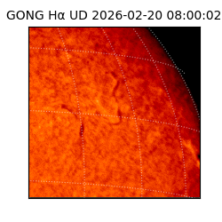 gong - 2026-02-20T08:00:02