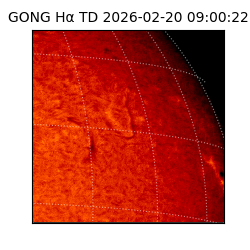 gong - 2026-02-20T09:00:22