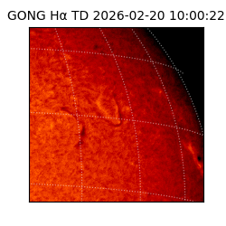 gong - 2026-02-20T10:00:22