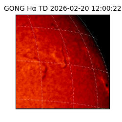 gong - 2026-02-20T12:00:22