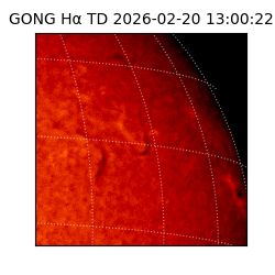 gong - 2026-02-20T13:00:22
